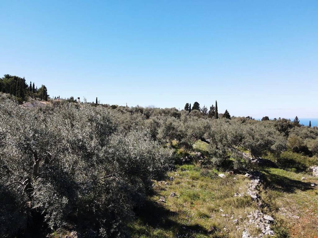 Το μεγάλο αγροτεμάχιο εγγυάται ιδιωτικότητα