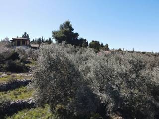 Το μεγάλο αγροτεμάχιο εγγυάται ιδιωτικότητα