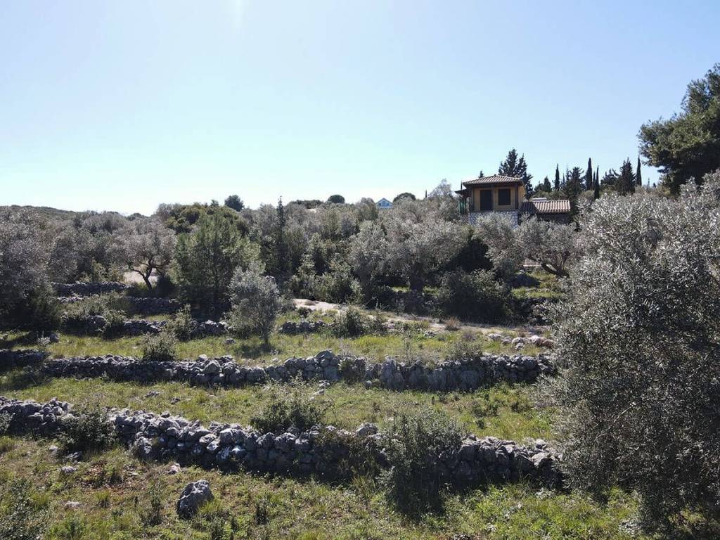 Το μεγάλο αγροτεμάχιο εγγυάται ιδιωτικότητα