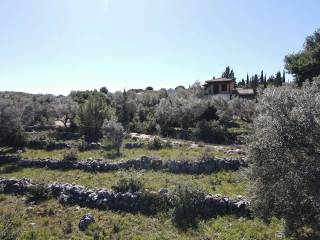 Το μεγάλο αγροτεμάχιο εγγυάται ιδιωτικότητα