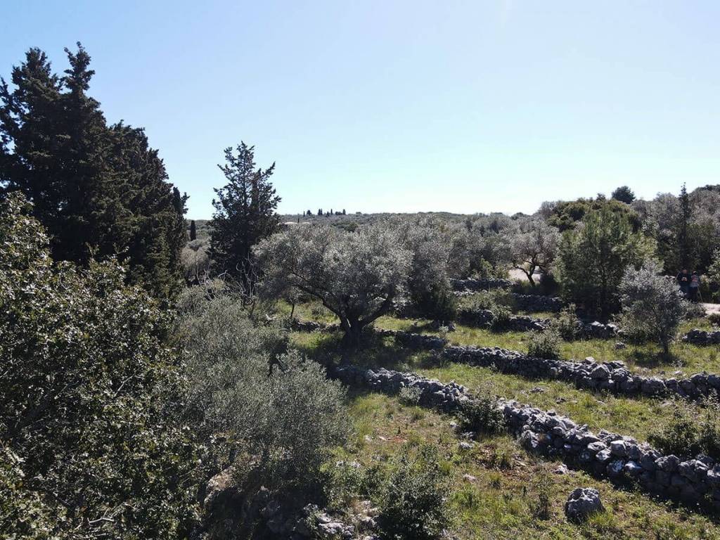 Το μεγάλο αγροτεμάχιο εγγυάται ιδιωτικότητα