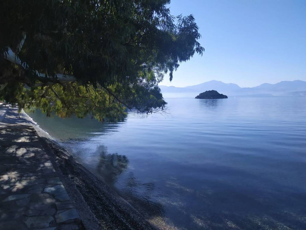 Η ΘΕΑ ΣΤΑ ΤΡΙΖΟΝΙΑ ΚΑΙ ΤΙΣ ΑΠΕΝΑΝΤΙ ΑΚΤΕΣ