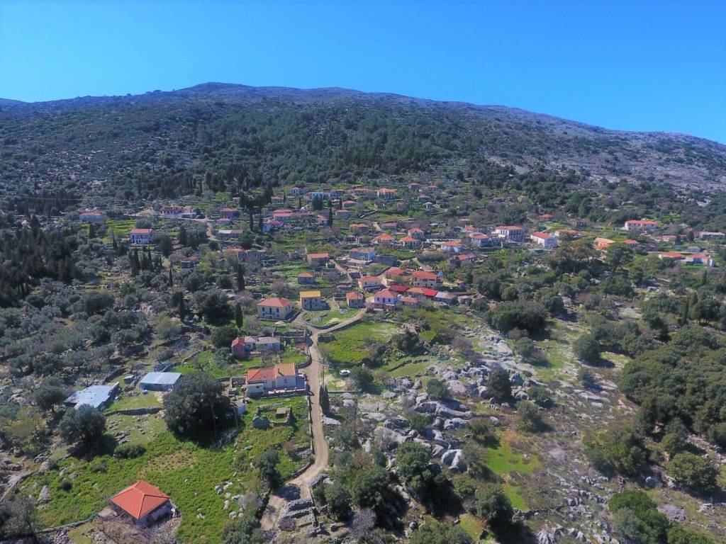 Aerial views of property