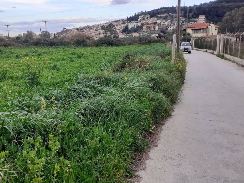 ΜΕΣΙΝΕΤ Μ. Ε.Π.Ε.
ΚΤΗΜΑΤΟΜΕΣΙΤΙΚΗ