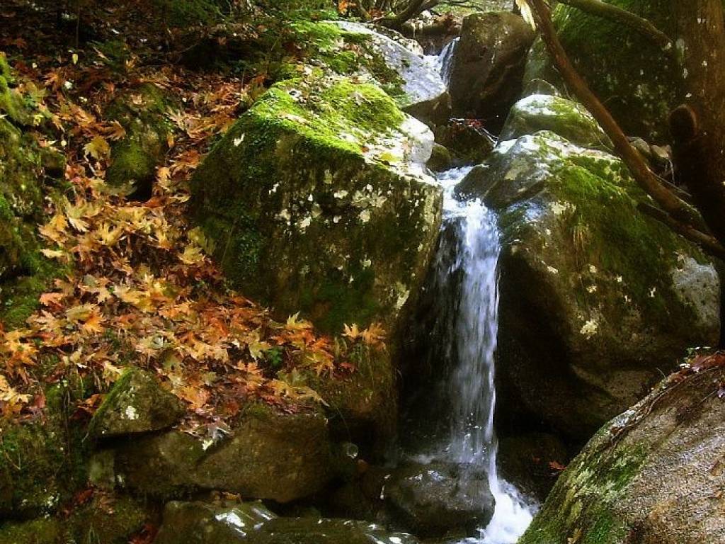 ΠΕΡΠΑΤΩΝΤΑΣ ΣΤΗ ΓΥΡΩ ΠΕΡΙΟΧΗ