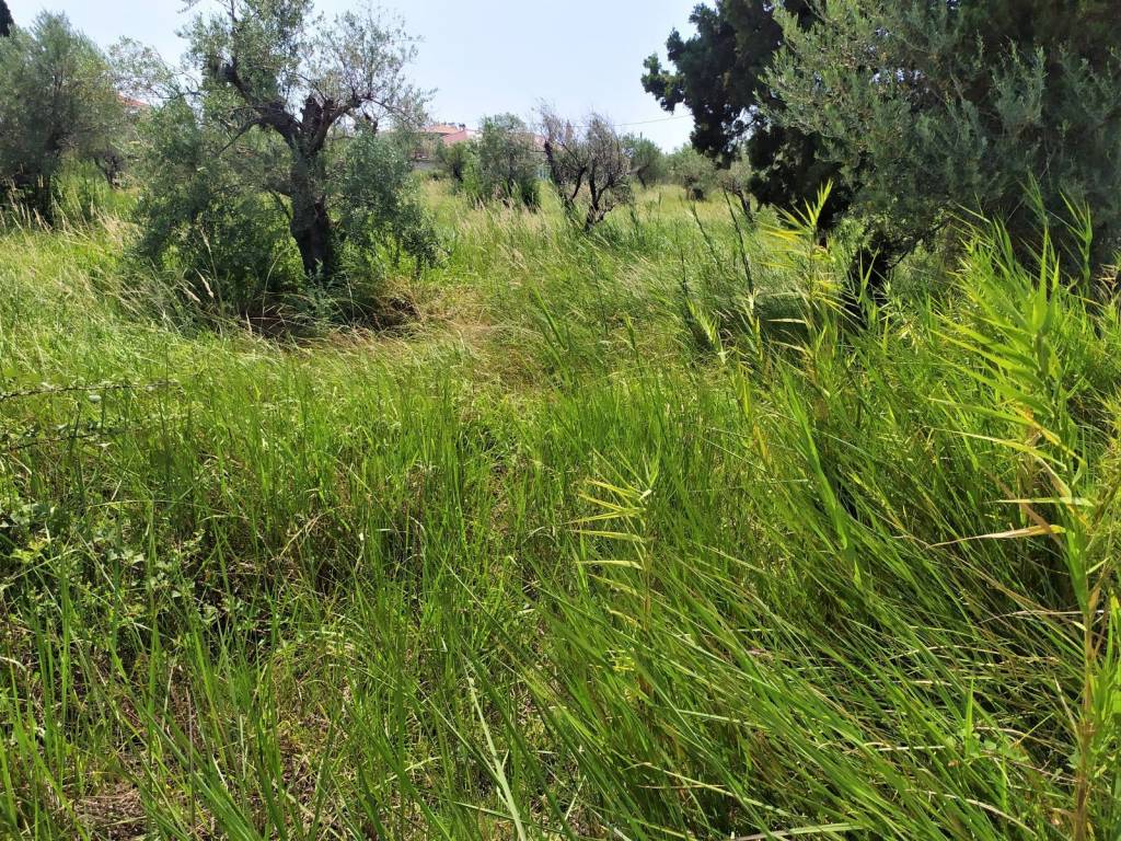 ΣΕ ΚΑΤΑΠΡΑΣΙΝΗ ΠΕΡΙΟΧΗ