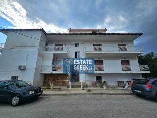 ★ Can become 11 studios ★ With olive grove 300sqm ★