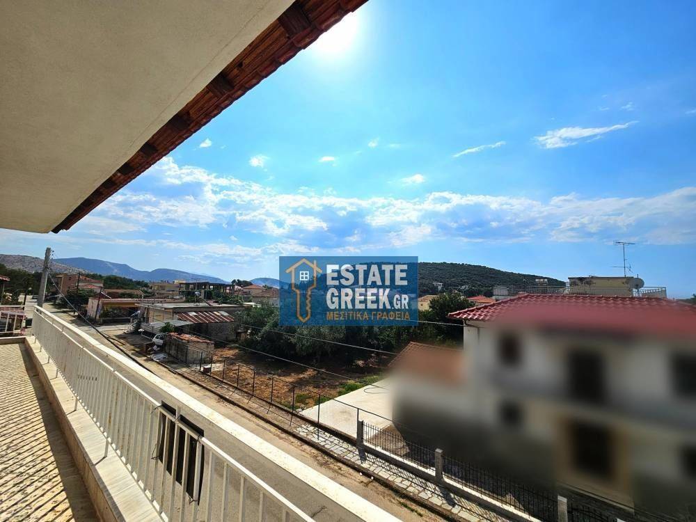 ★ Can become 11 studios ★ With olive grove 300sqm ★