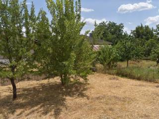 ΑΠΟΨΗ ΟΙΚΟΠΕΔΟΥ