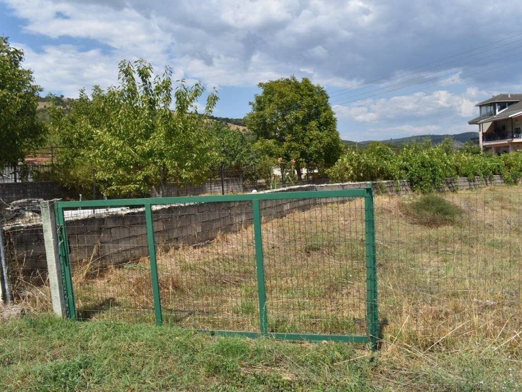 ΑΠΟΨΗ ΟΙΚΟΠΕΔΟΥ