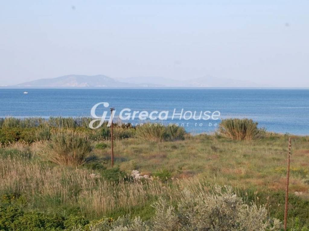 Seaside Detached House for Sale in Ancient Epidaurus