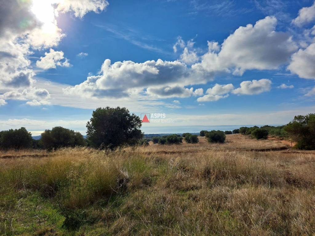 Εξωτερικοι χώροι