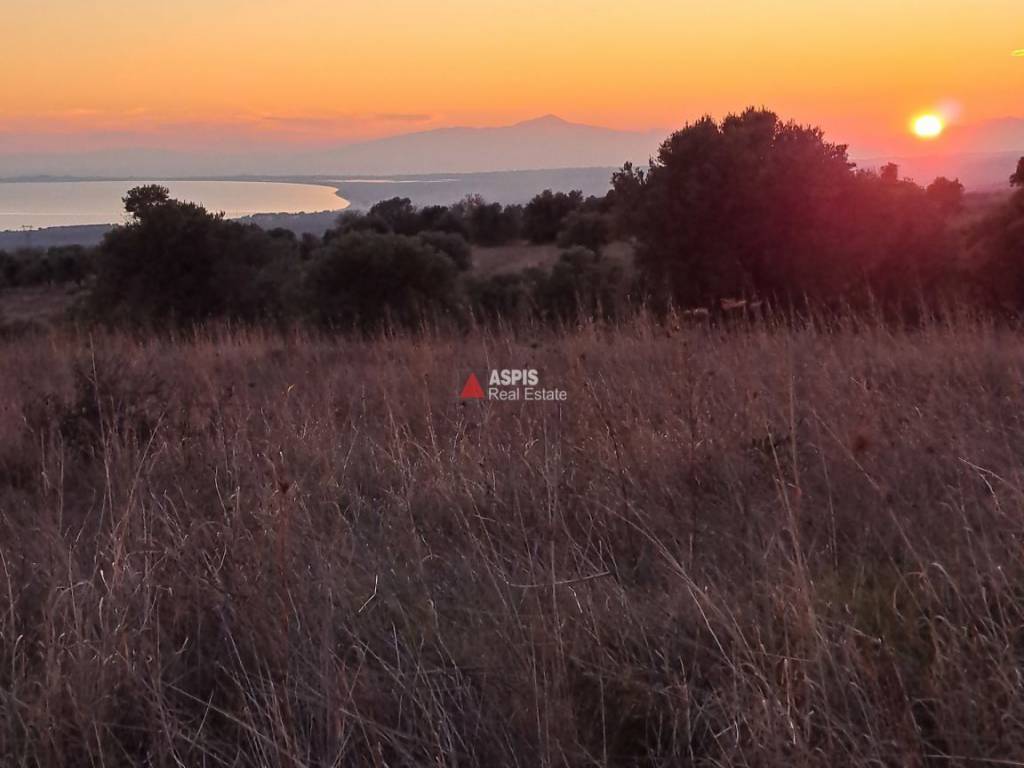 Εξωτερικοι χώροι