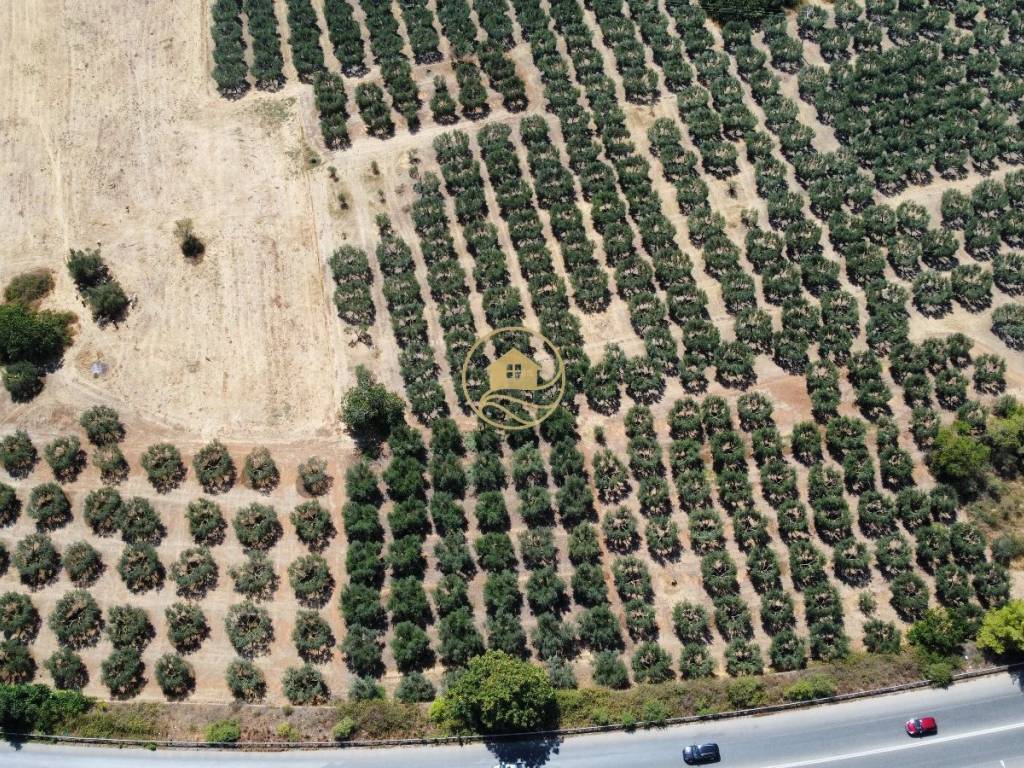 πανοραμική οικοπέδου