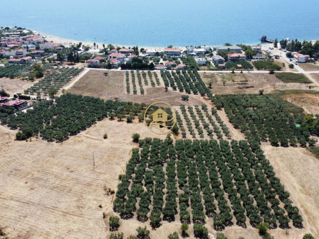 πανοραμική οικοπέδου