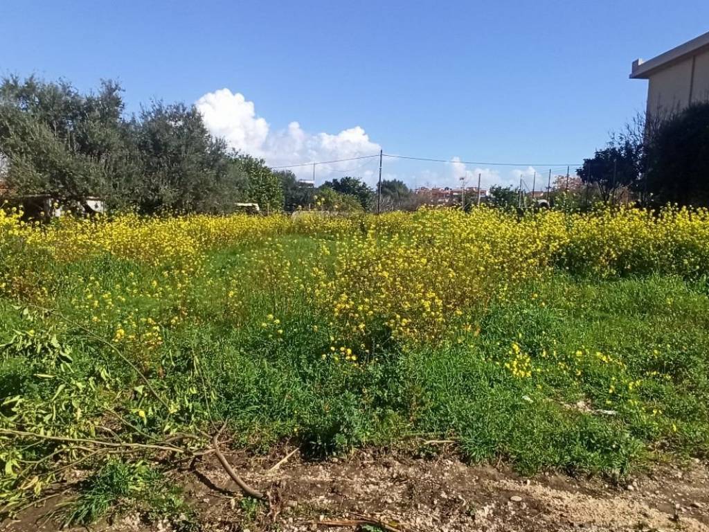 ΑΠΟΨΗ ΟΙΚΟΠΕΔΟΥ