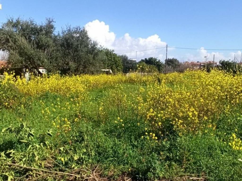 ΑΠΟΨΗ ΟΙΚΟΠΕΔΟΥ