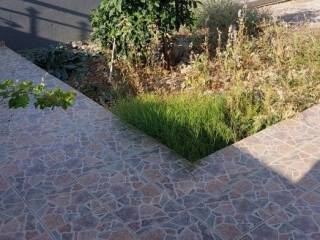 ΑΥΛΗ ΜΕ ΚΗΠΟ