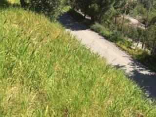 ΠΡΟΣΟΨΗ ΟΙΚΟΠΕΔΟΥ