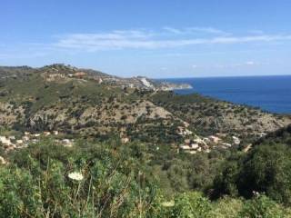 ΘΕΑ ΟΙΚΟΠΕΔΟΥ