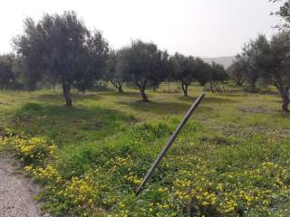 ΑΓΡΟΤΕΜΑΧΙΟ