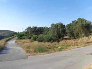 ΠΡΟΣΟΨΗ ΟΙΚΟΠΕΔΟΥ ΣΕ ΔΥΟ ΔΡΟΜΟΥΣ