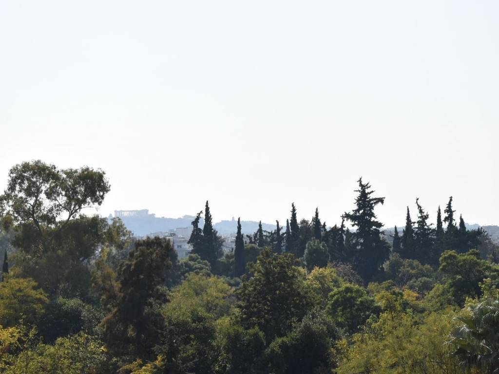 θεα στην Ακροπολη