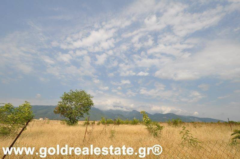 GOLD REAL ESTATE ΠΙΕΡΙΑΣ GREECE KATERINI