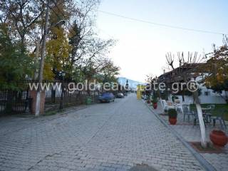 ΑΚΙΝΗΤΑ ΠΙΕΡΙΑΣ ΛΙΤΟΧΩΡΟΥ DION GREECE REAL ESTATE PROPERTY GREEK HOME