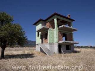 GREECE  AKINITA PIERIAS LEPTOKARIA GREEK HOME