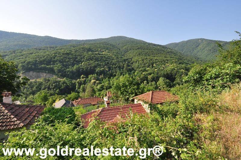 GOLD REAL ESTATE ΠΙΕΡΙΑΣ GREECE KATERINI