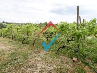 Ύπαρξη ανθρώπου