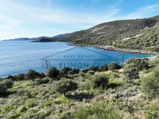 To parathalassio agrotemachio