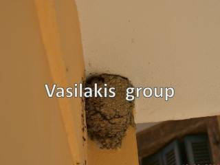 &#039;&#039;τυχερό σπίτι όπου τα χελιδόνια φωλιάζουν&#039;&#039;