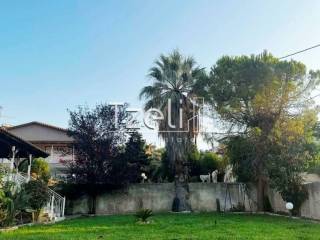 Άποψη οικοπέδου