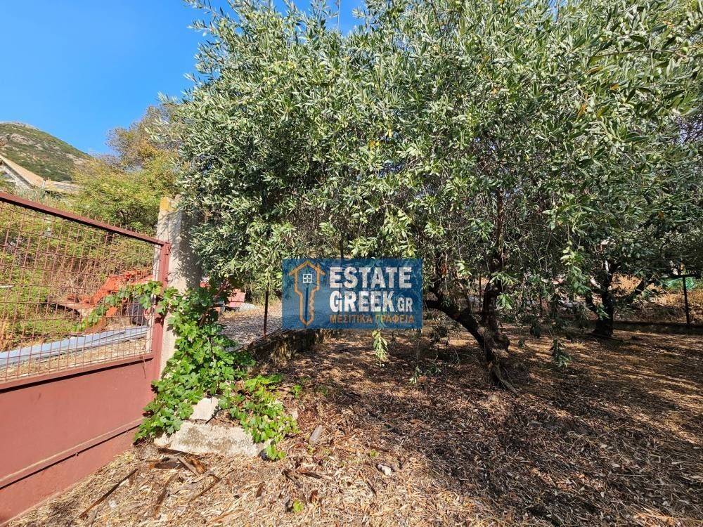 ★ MOUNTAIN VIEW ★ Builds 610sq.m ★ In olive grove ★