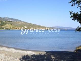 Land in Evia for sale