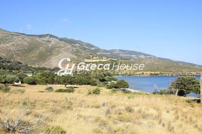 Land in Evia for sale