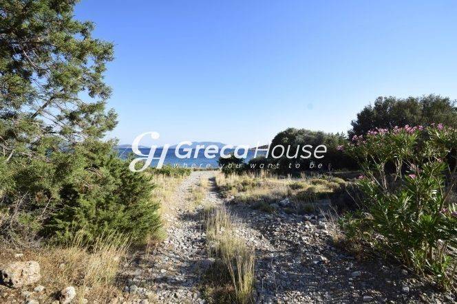 Land in Evia for sale