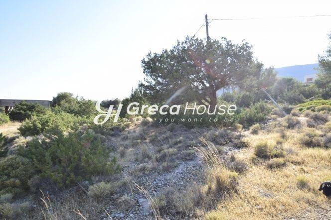 Land in Evia for sale