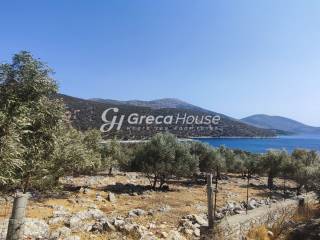 Plot with building permit for sale in Evia