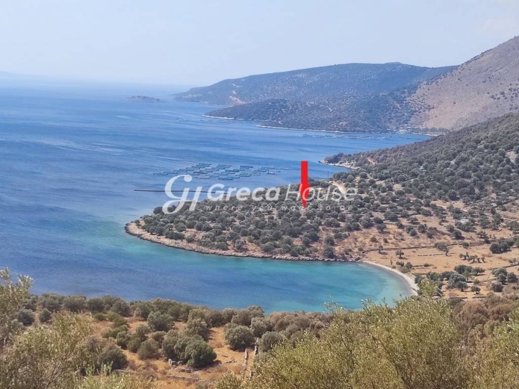 Plot with building permit for sale in Evia