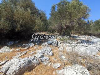 Plot with building permit for sale in Evia