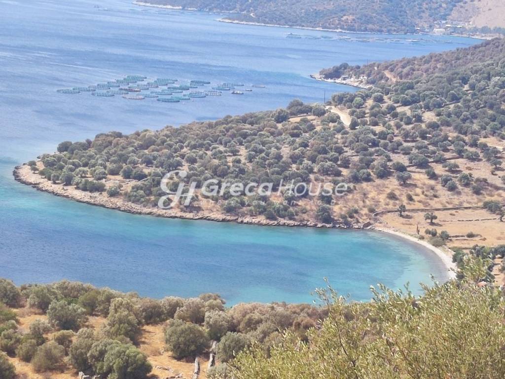 Plot with building permit for sale in Evia