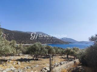 Plot with building permit for sale in Evia