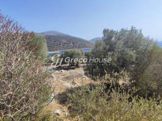 Plot with building permit for sale in Evia