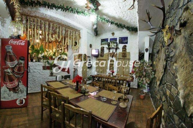 Hotel For Sale in Parnassos