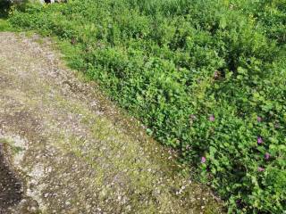 Εξωτερική άποψη