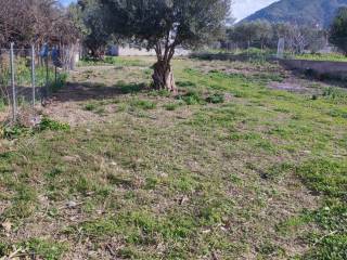 Εξωτερική άποψη