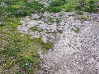 Εξωτερική άποψη